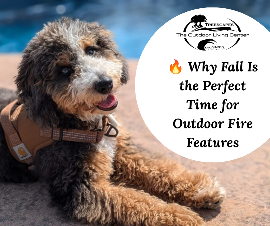 🔥 Why Fall Is the Perfect Time for Outdoor Fire Features