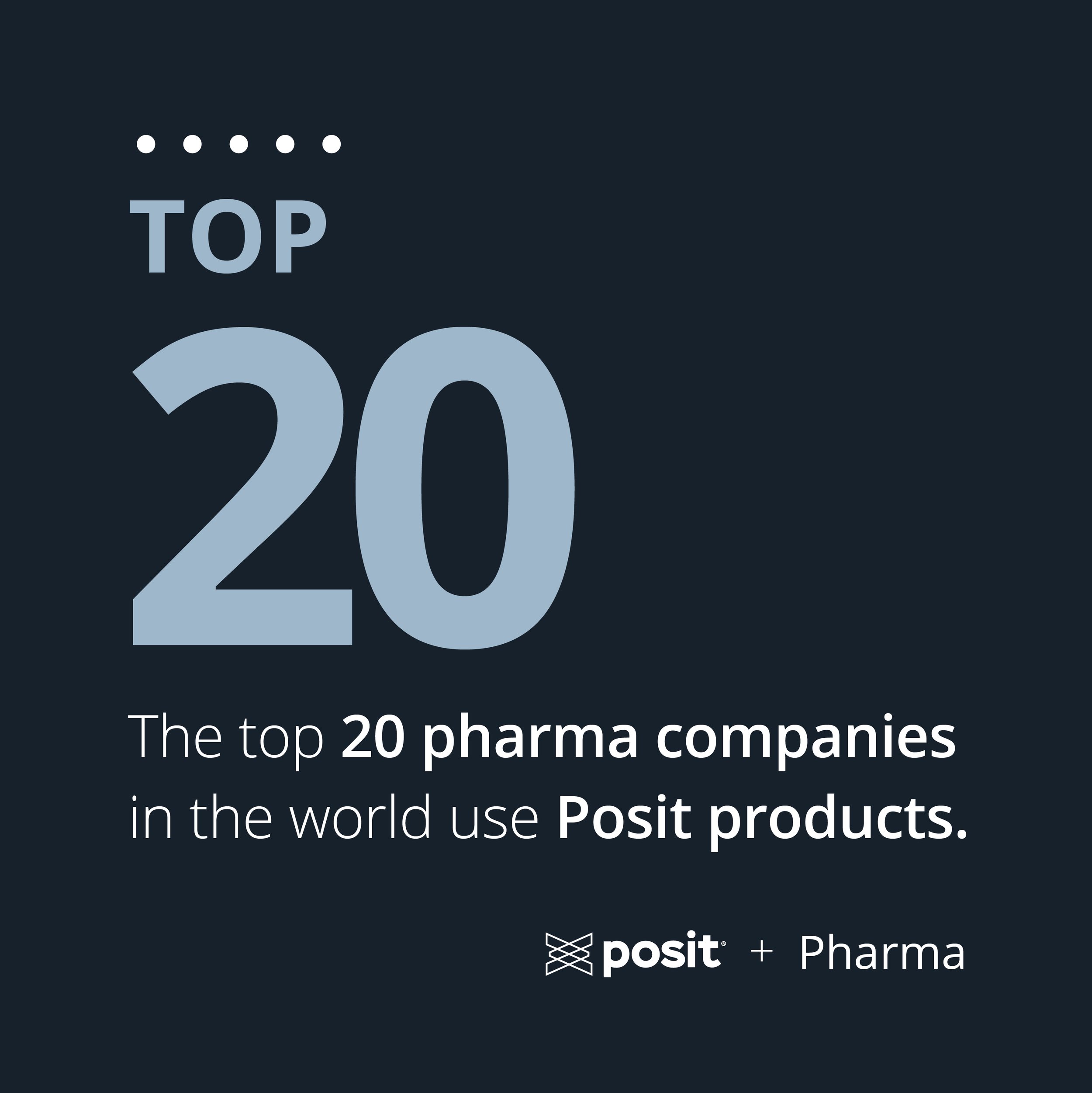 Posit top 20 Adjy portfolio image