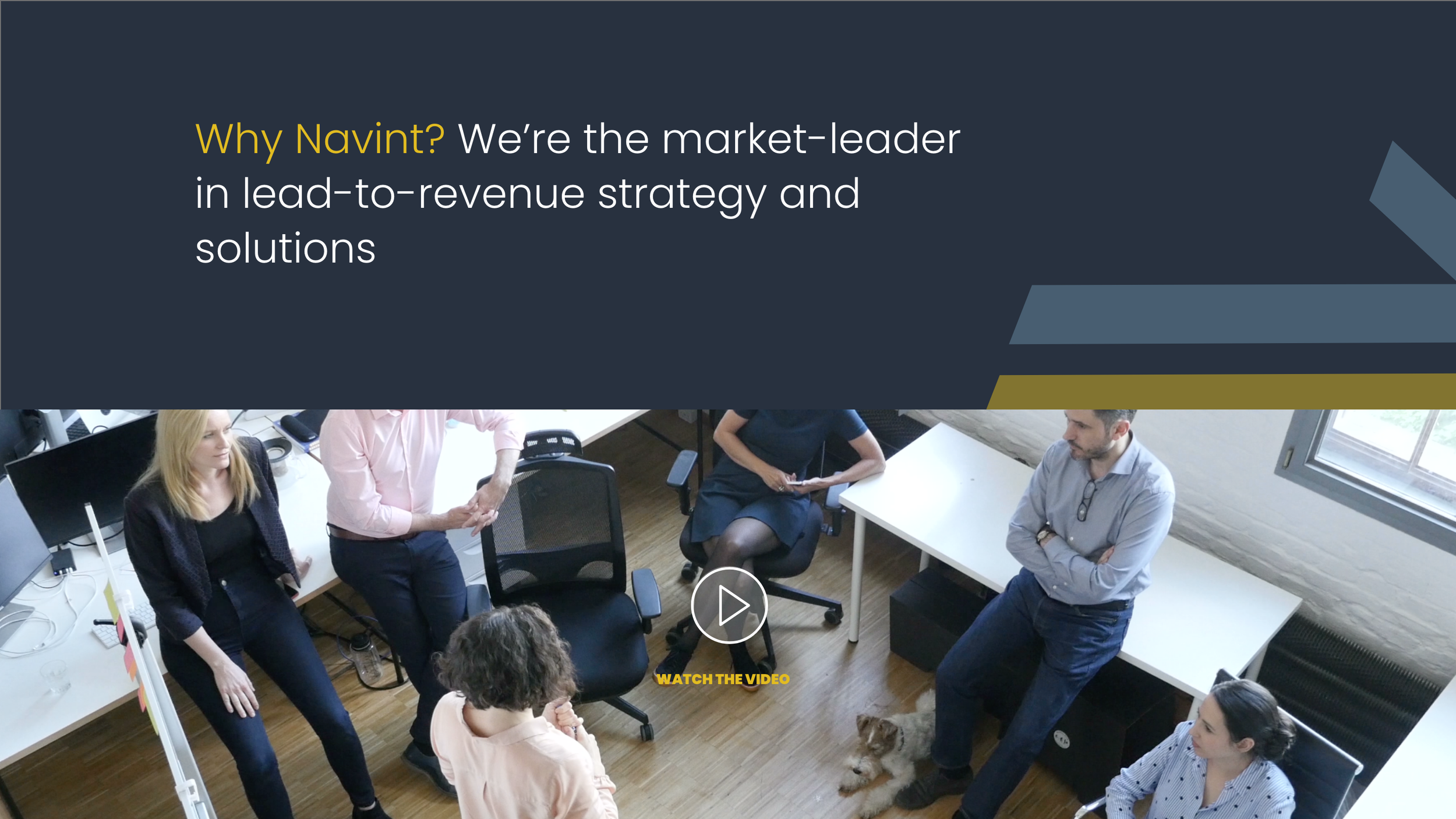 Navint landing page exerpt