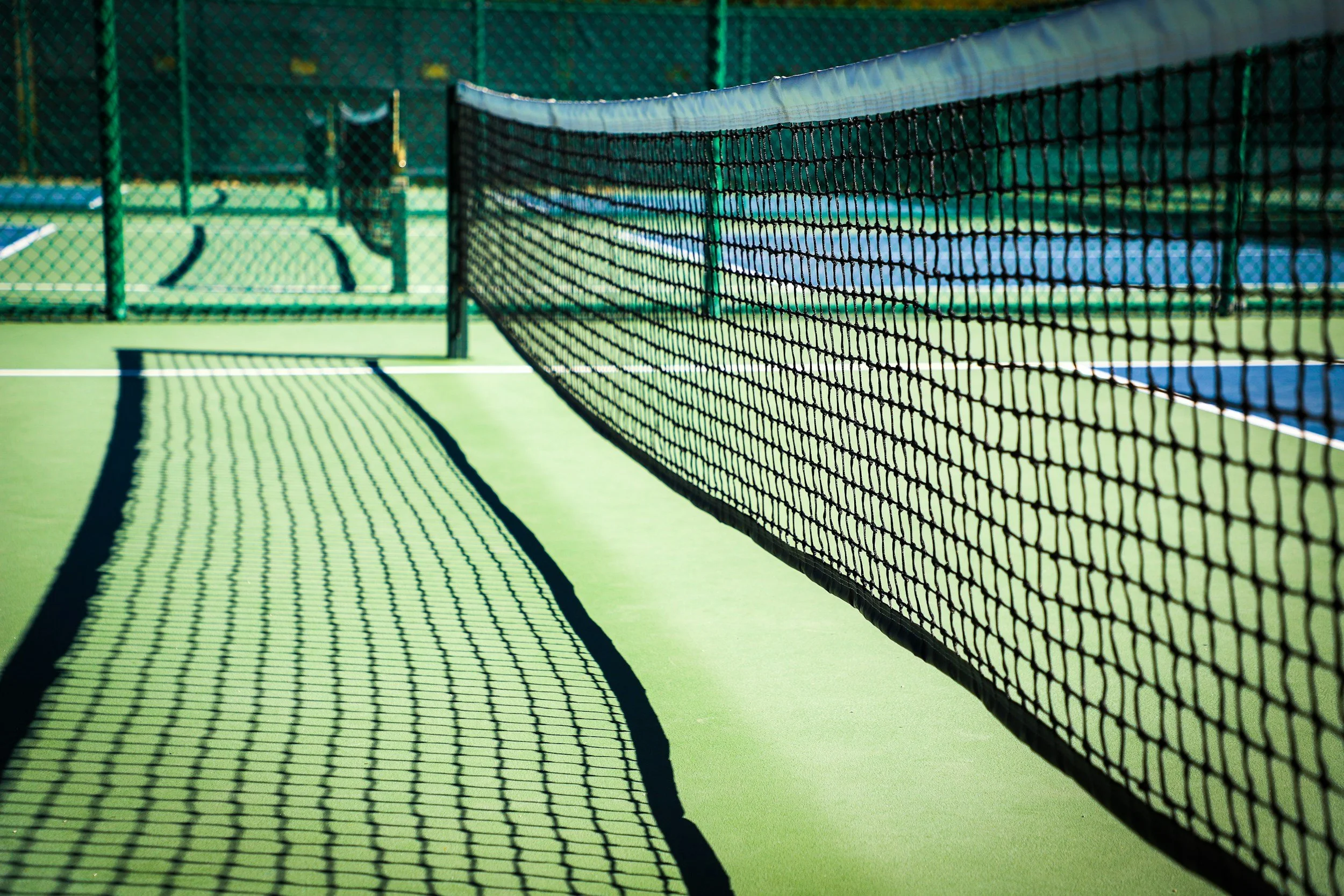 Young Adult Pickleball