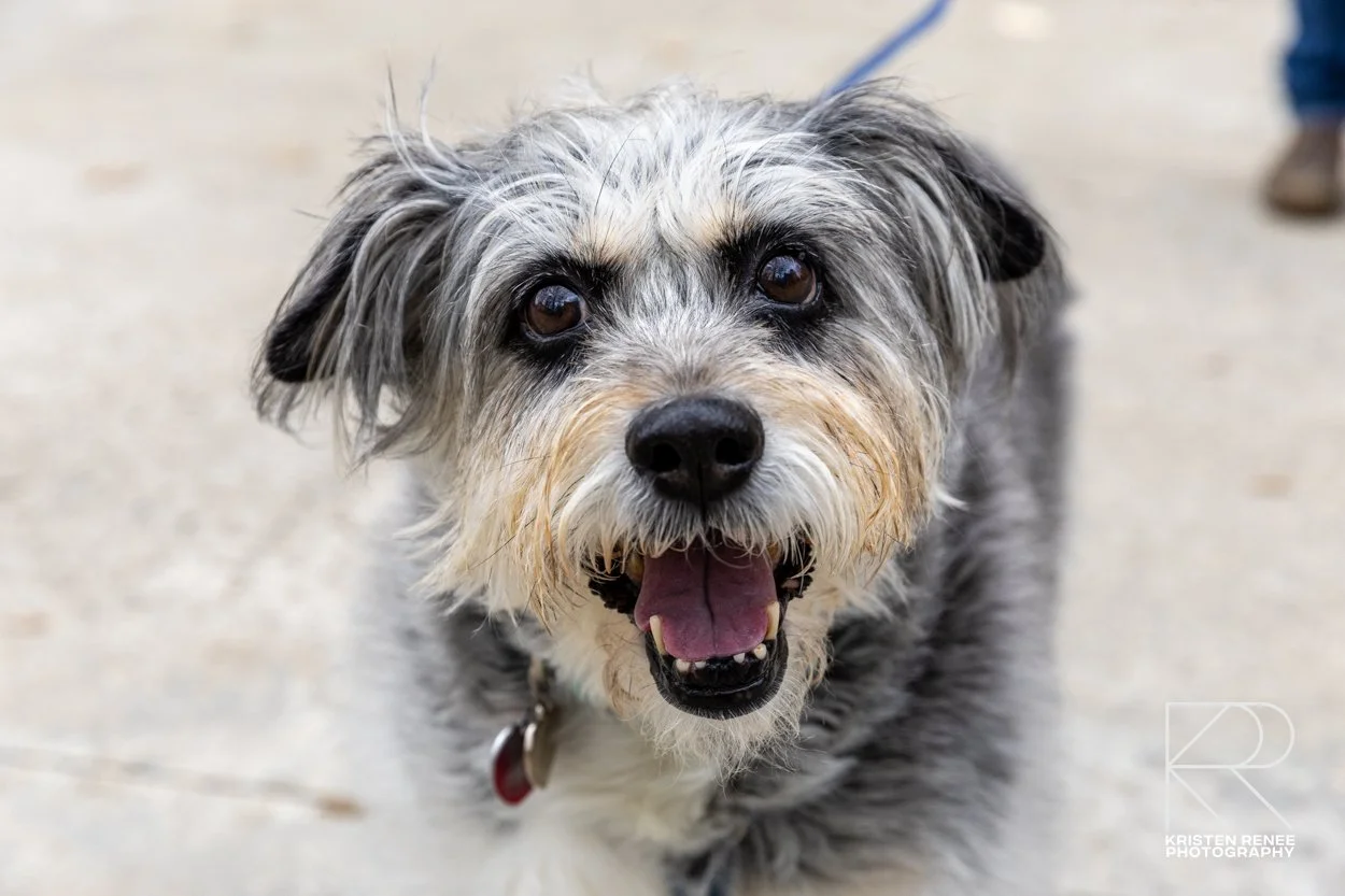 colleen and victor-4.jpg