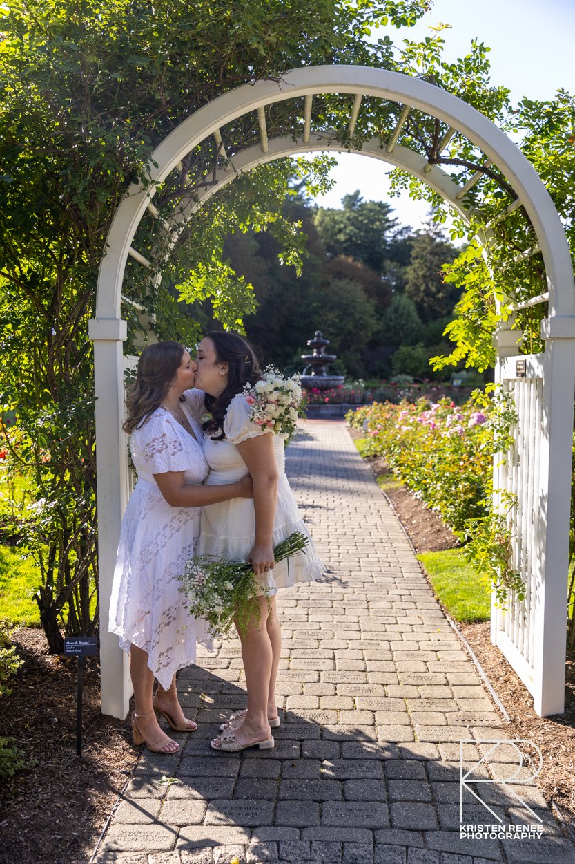 A and A teaser-5.jpg