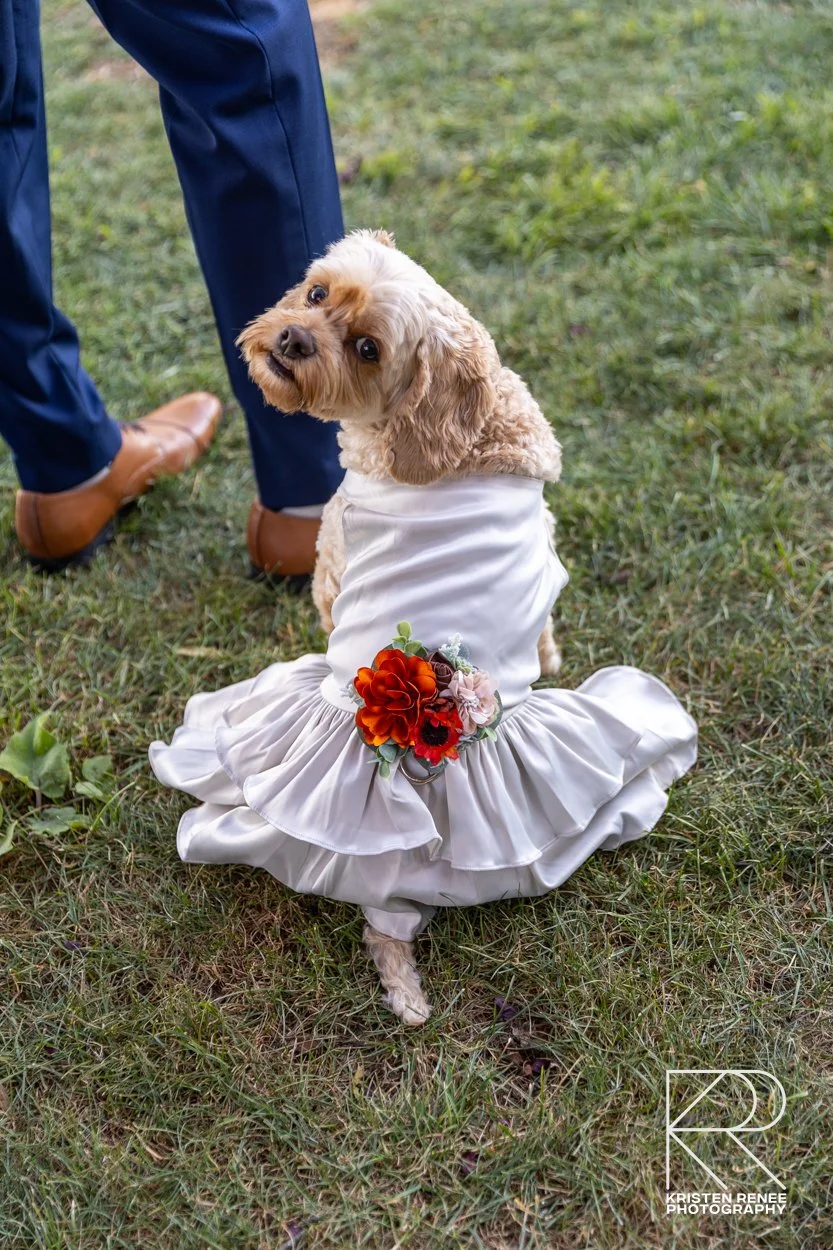 C and A teaser-1.jpg