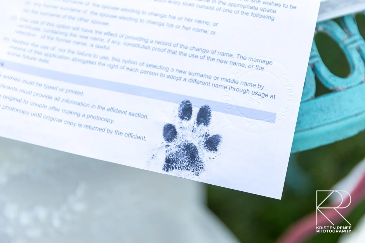 C and A teaser-13.jpg