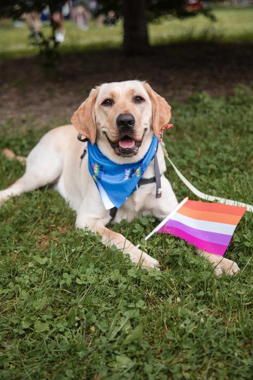 pride portraits social-11.jpg