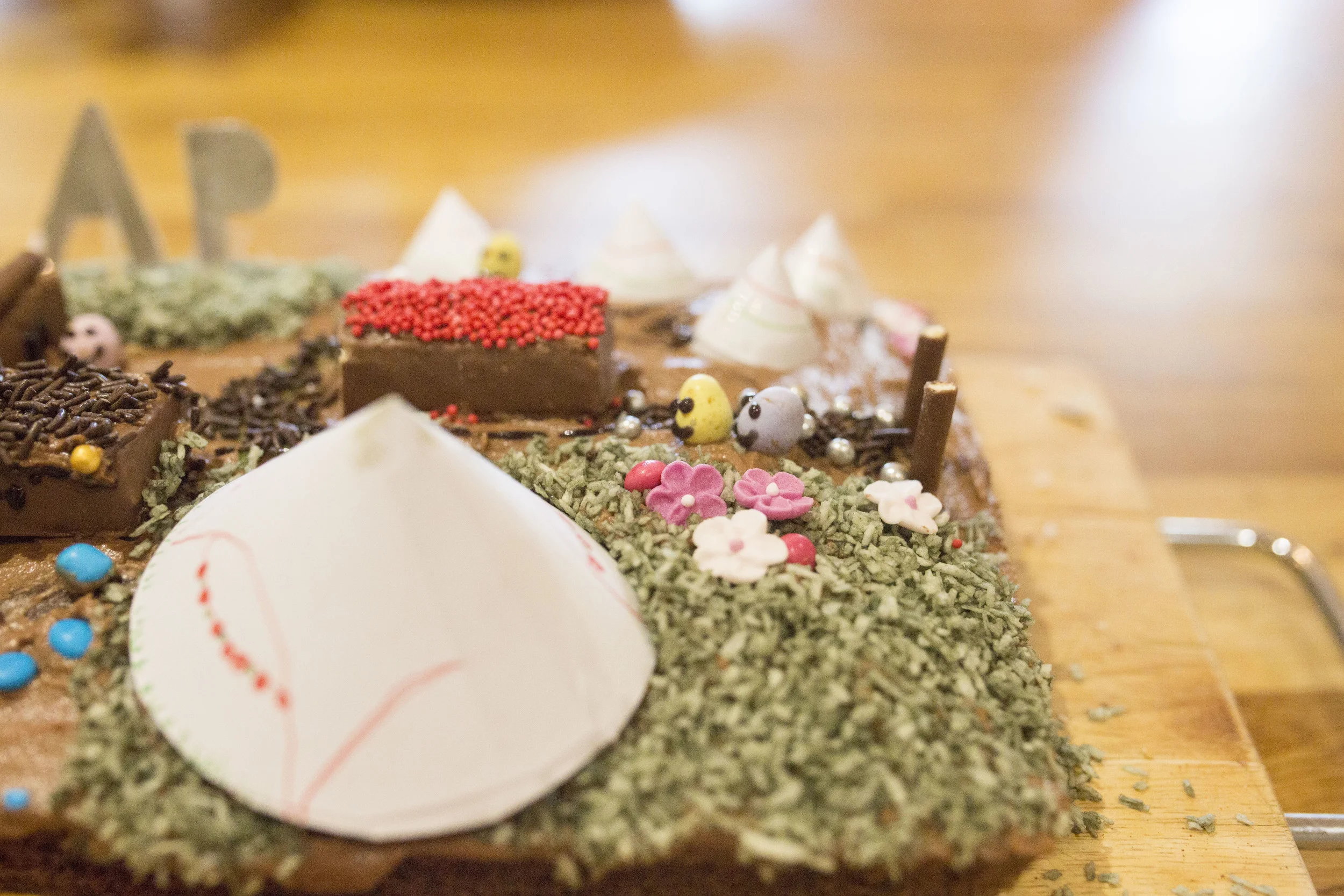 SNAP Photography Festival Competition Entry!