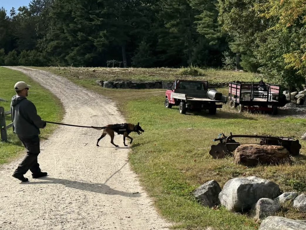 IMG_5465.jpg