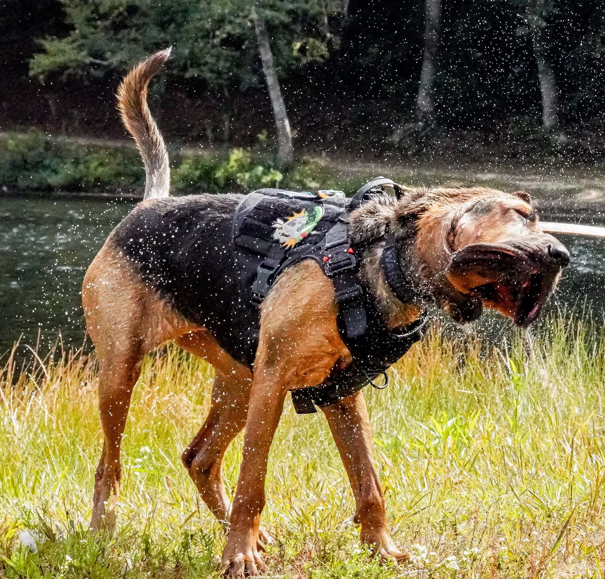 2025 Seminar - Photos by Tracy Joy