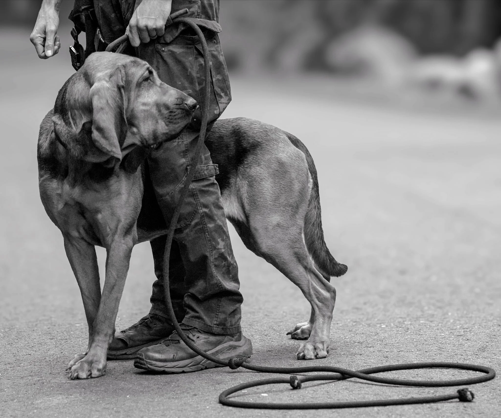 2025 Seminar - Photos by Tracy Joy