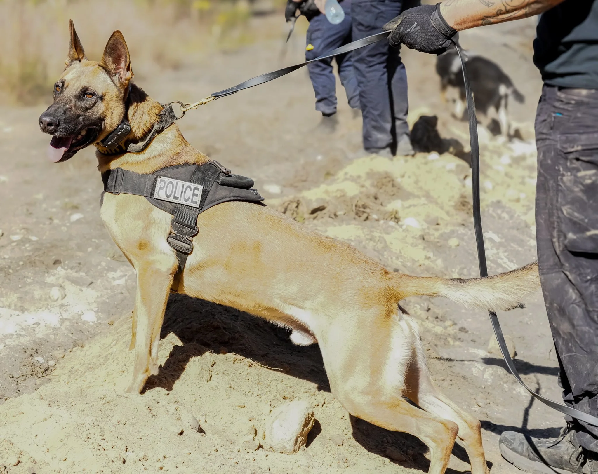 2025 Seminar - Photos by Tracy Joy