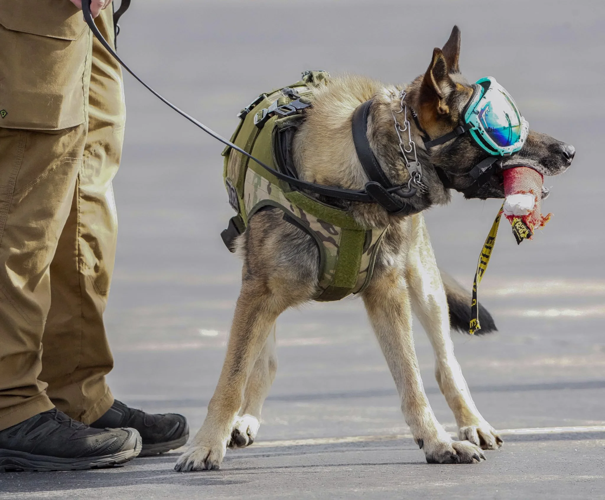 Googles, vest & toy.jpg