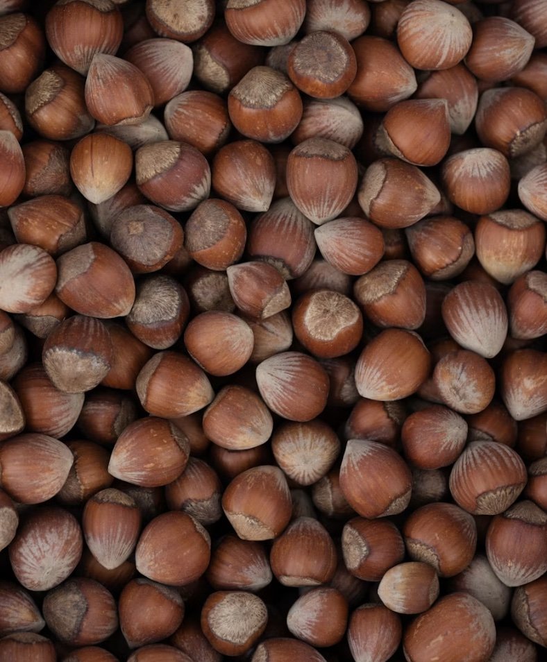 Aesculus Hippocastanum (Horse Chestnut) Seed Extract