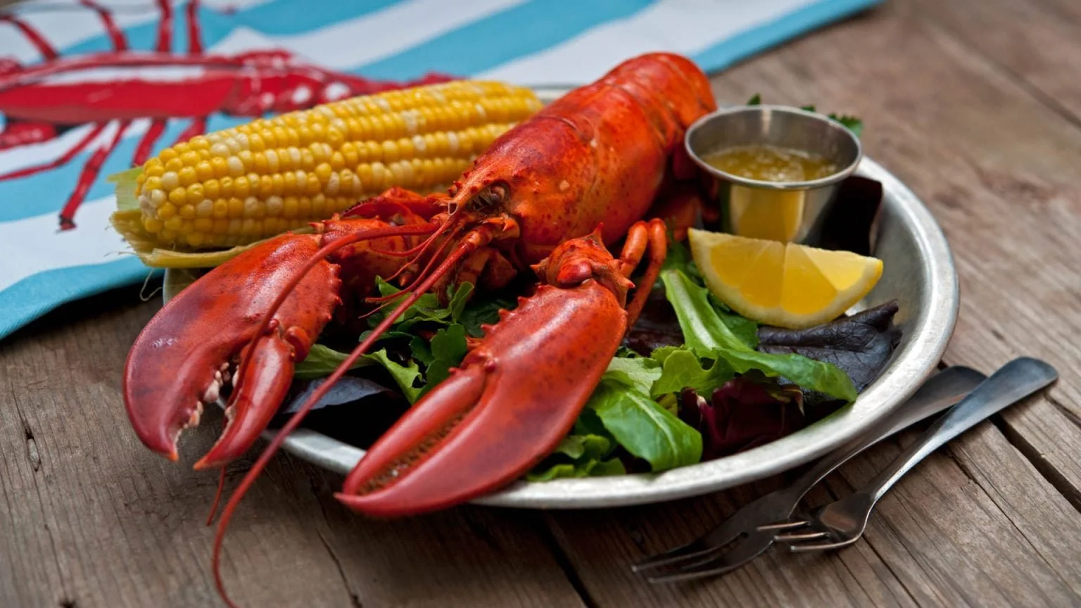 8c7357aa-ff76-44c3-a9d5-f0963c10c3ee.jfif