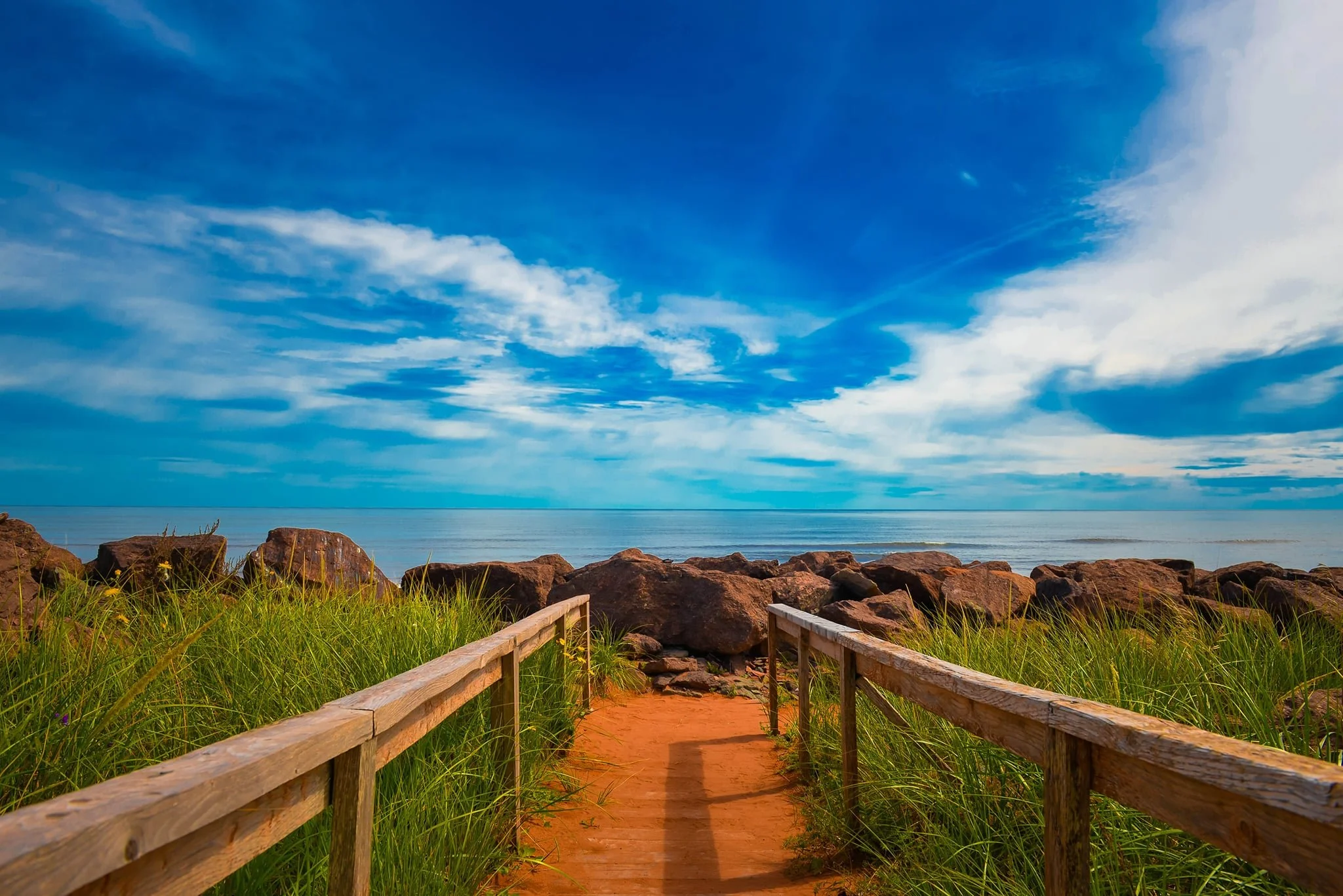 be280ceb-c6ac-442b-aa8d-b20ec550535f.jfif