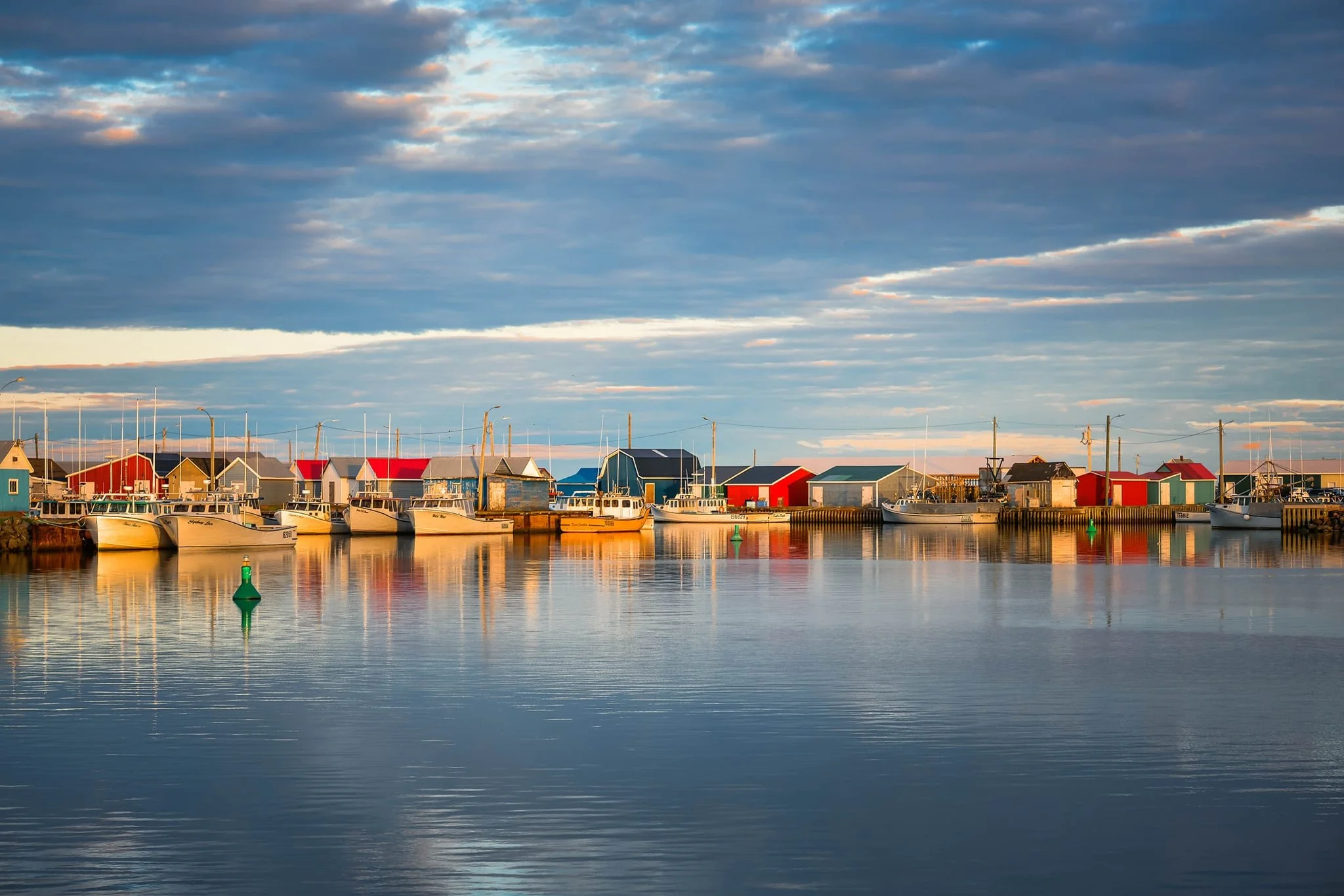 d4a3c28e-d36c-4d14-977a-6143bc5ade09.jfif