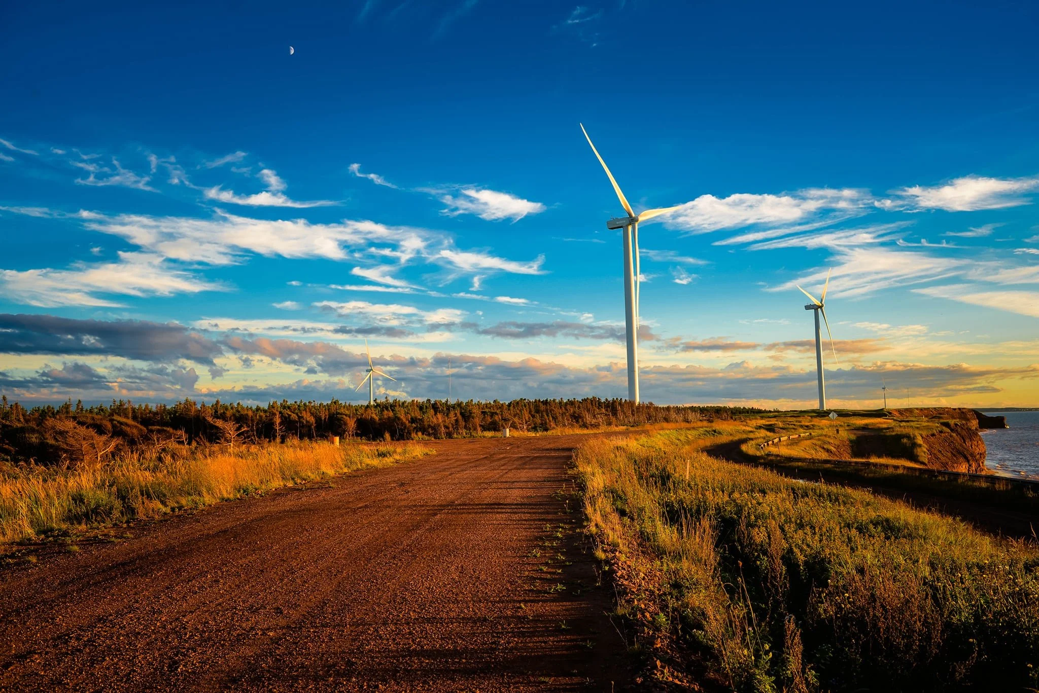 d0fb60c6-c78a-43fb-bed2-ab70a95064c0.jfif