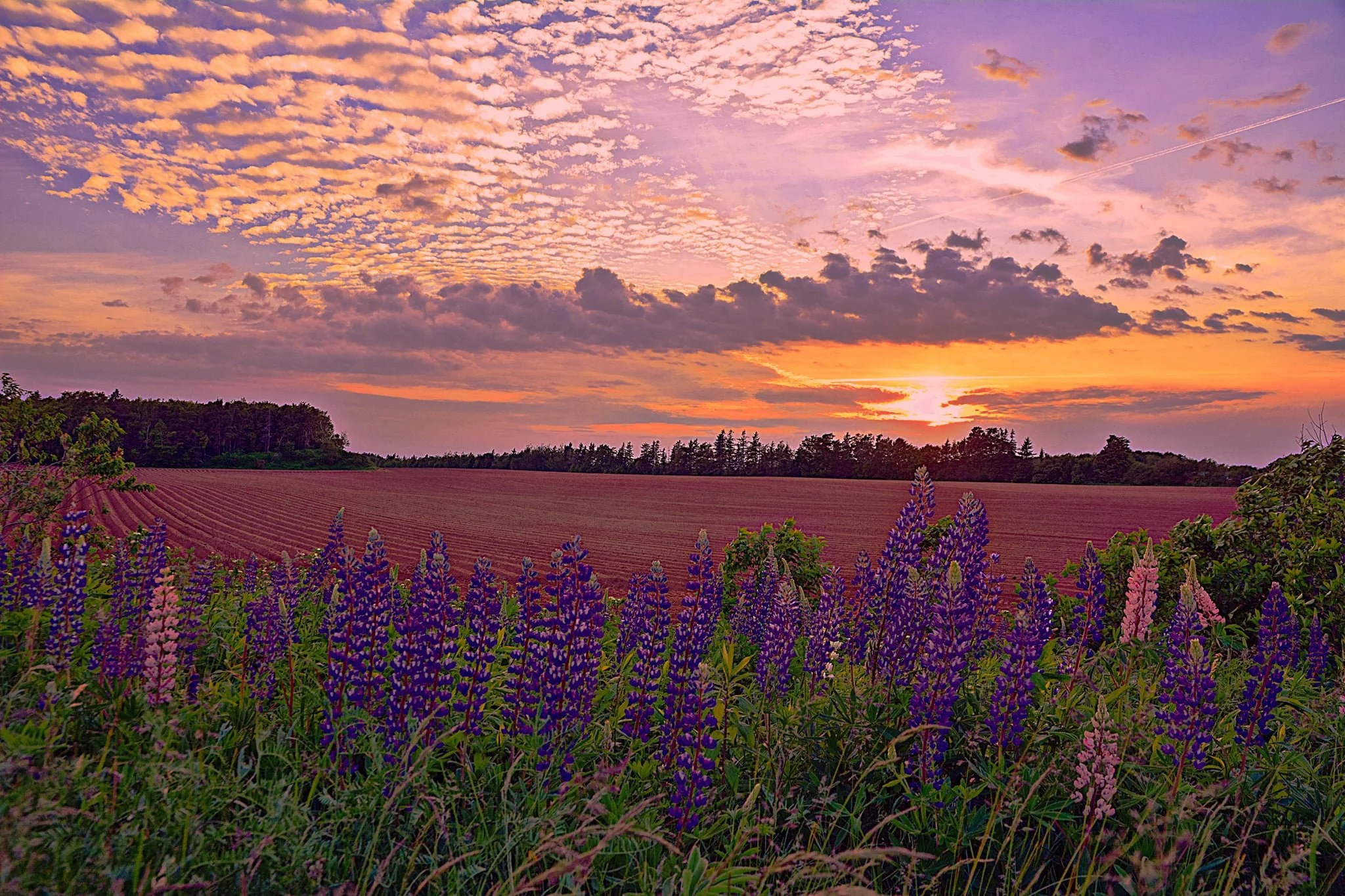 d637691d-c91f-4023-bbd7-c4210f7da706.jfif