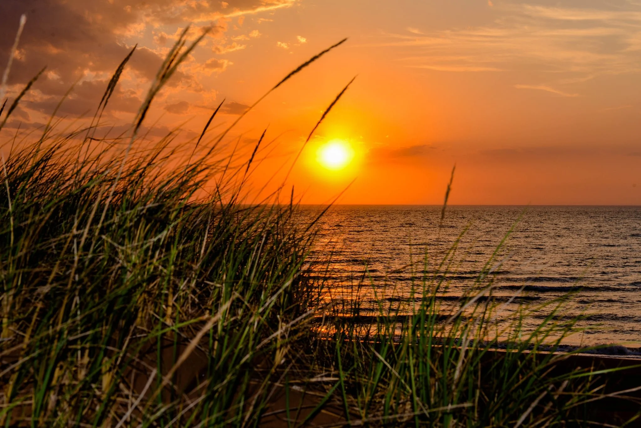 9afc59c1-e994-49dd-b2ee-2260b6ab3809.jfif