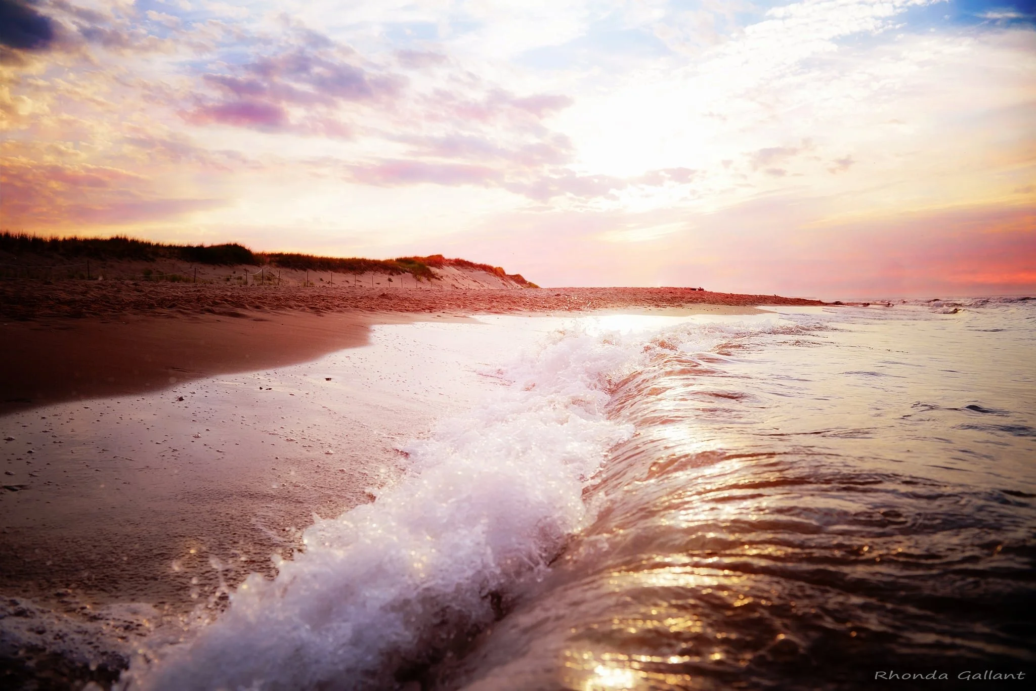 95794013-5e2b-425a-9acb-88482b32217a.jfif