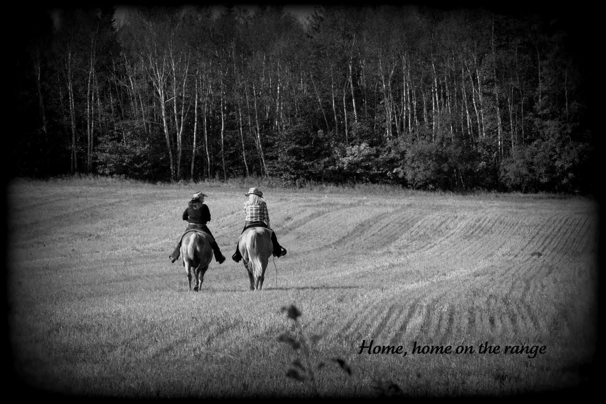 d099fea0-c08e-462e-935c-7dd55b6a4feb.jfif