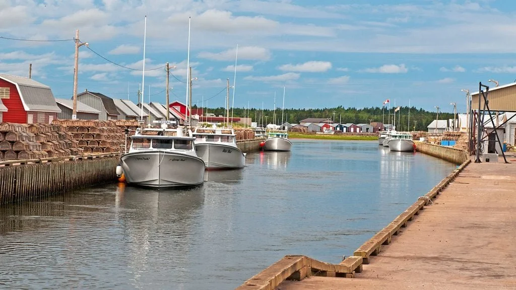 38836da3-c0dc-4014-bdcb-d53041a28b29.jfif