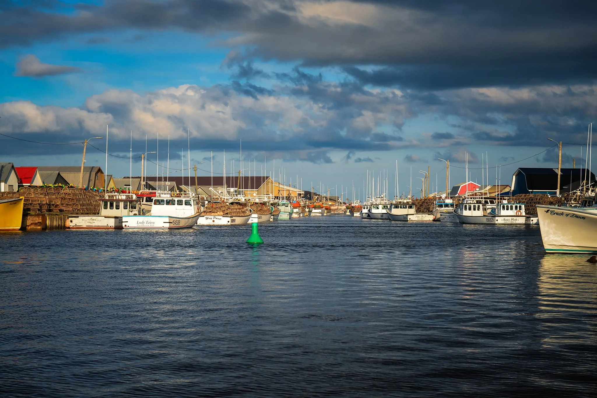 93219abf-9c5d-4a1f-8ea0-21fb6dc84ec9.jfif