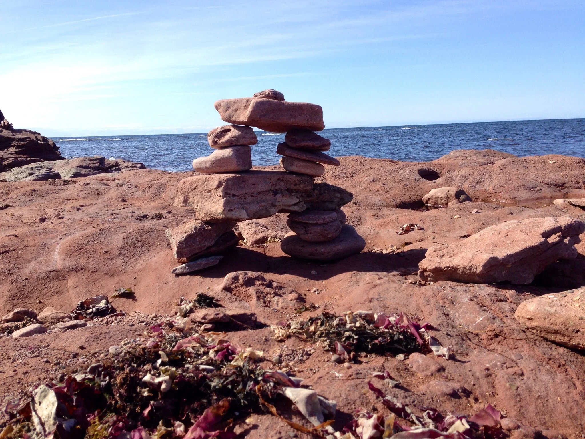 136e5e7e-f439-48ca-839b-7a32b463b4ca.jfif