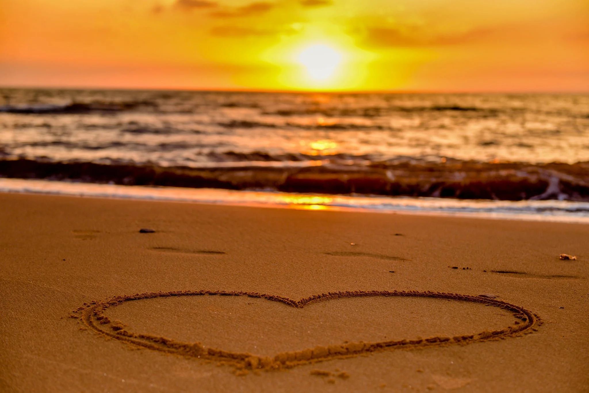 4ad956c3-e71d-43a2-b4ea-c75852257129.jfif