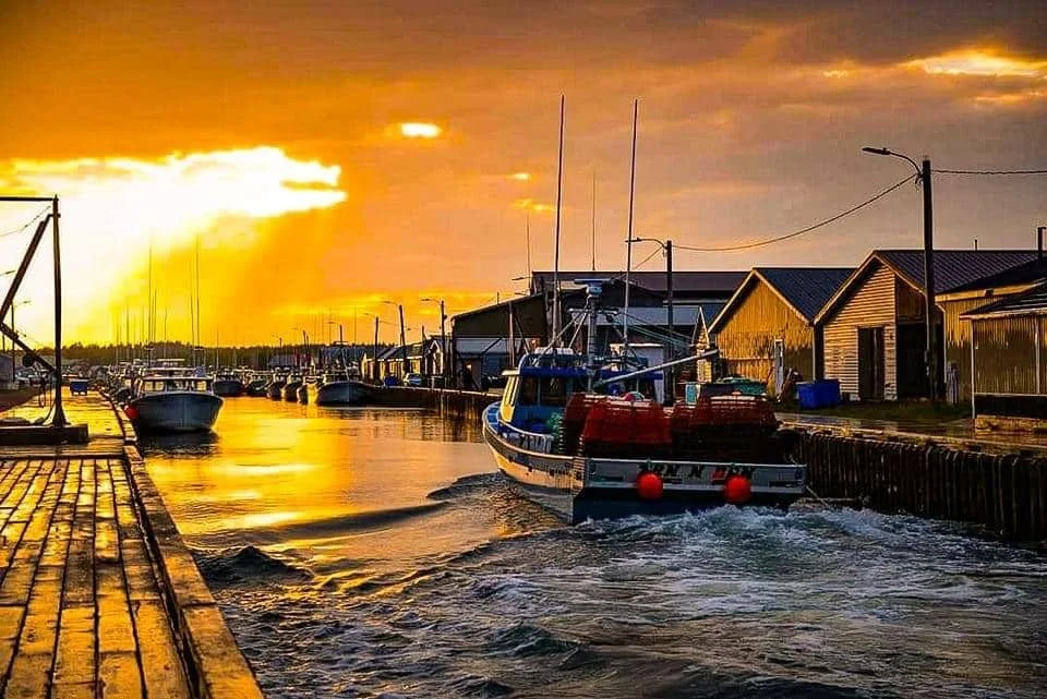 de9a6175-cf55-44ec-a3d0-b7a23fdd1a06 (1).jfif