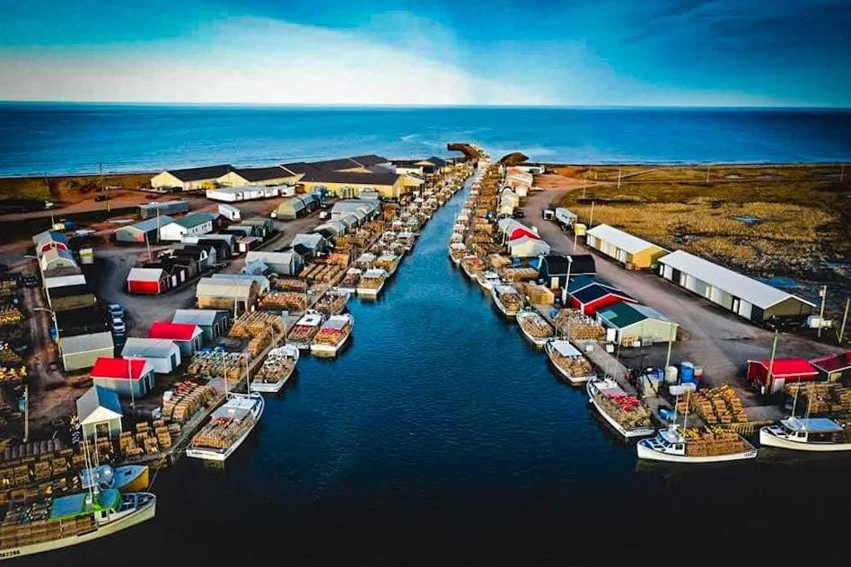 b8d5fe6e-7c09-432b-95ed-761730cb5136.jfif