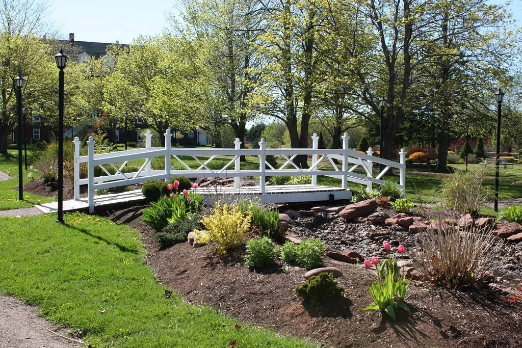 6d6c69b9-480a-4b88-b3f7-62f65c205ebe (1).jfif