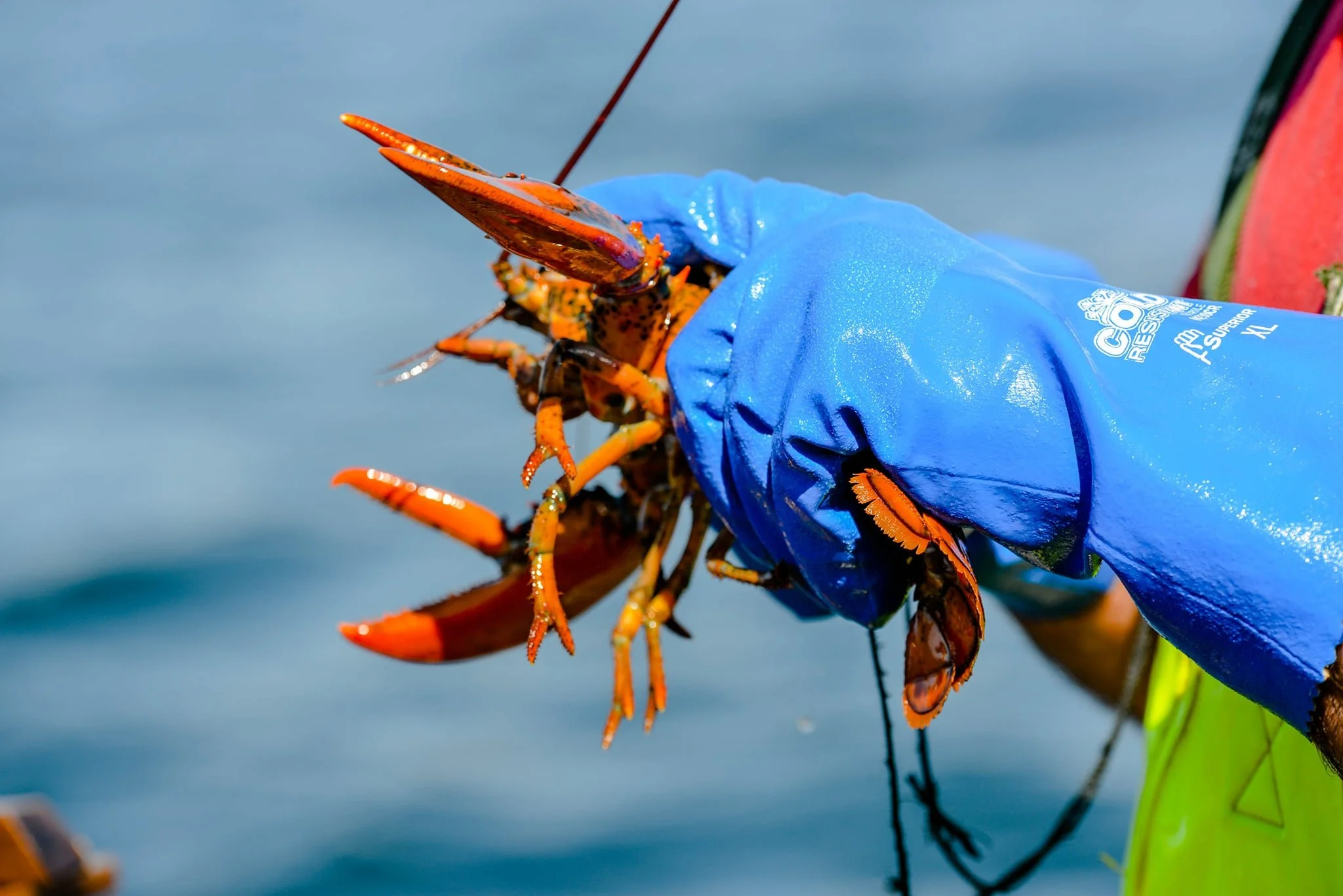 97a94826-656c-4bc0-99b4-189757f02ef6.jfif