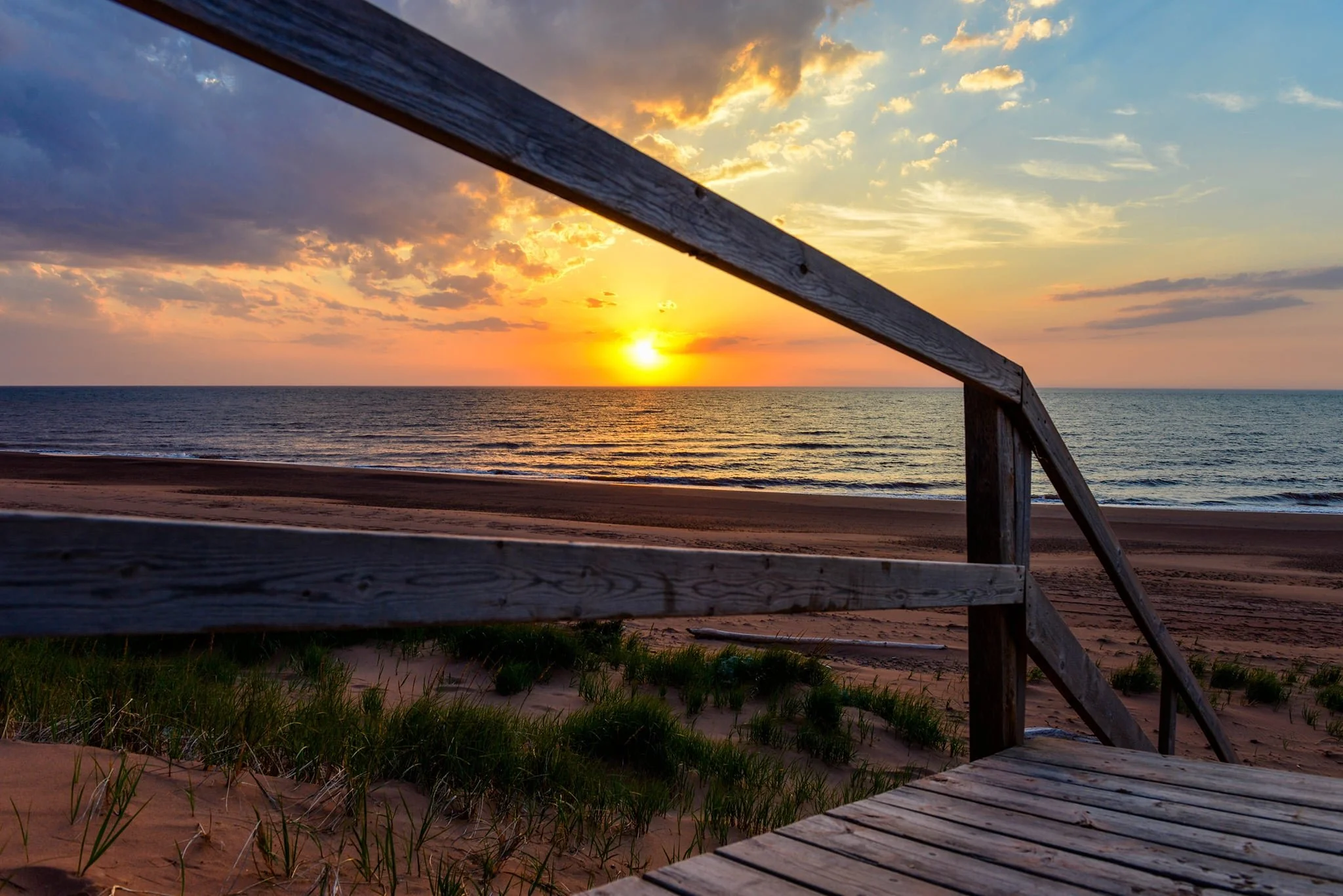 e41e40fe-fe98-4565-bb5c-b33e60163fa9.jfif