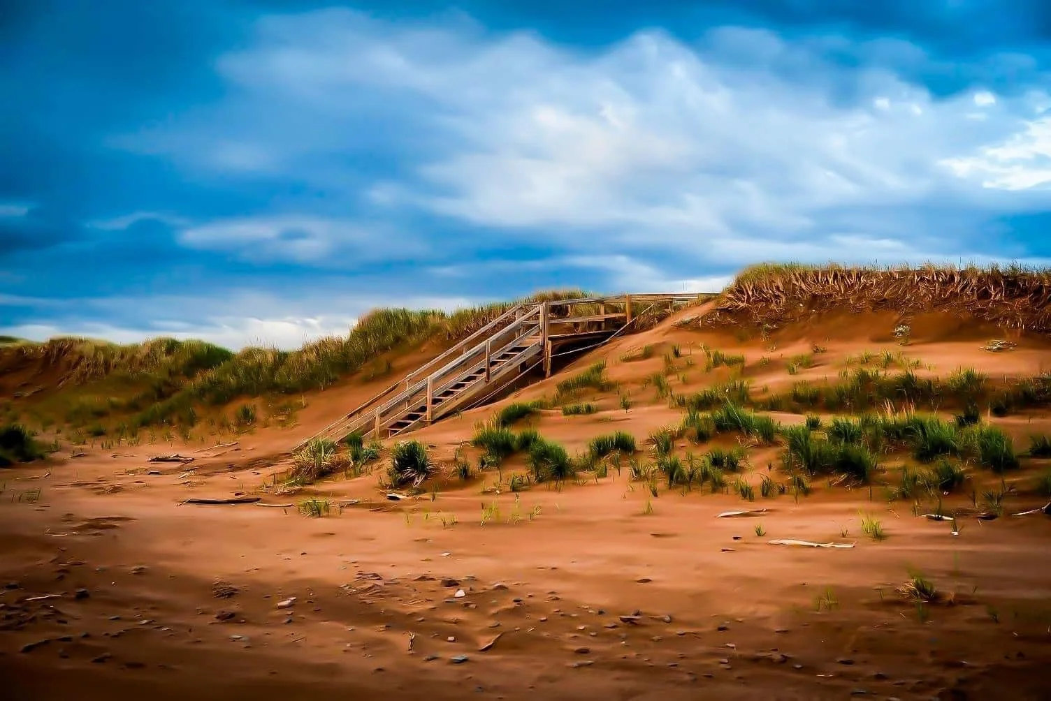 b56eddfd-956f-40ee-b7a0-fdea5e10205b.jfif