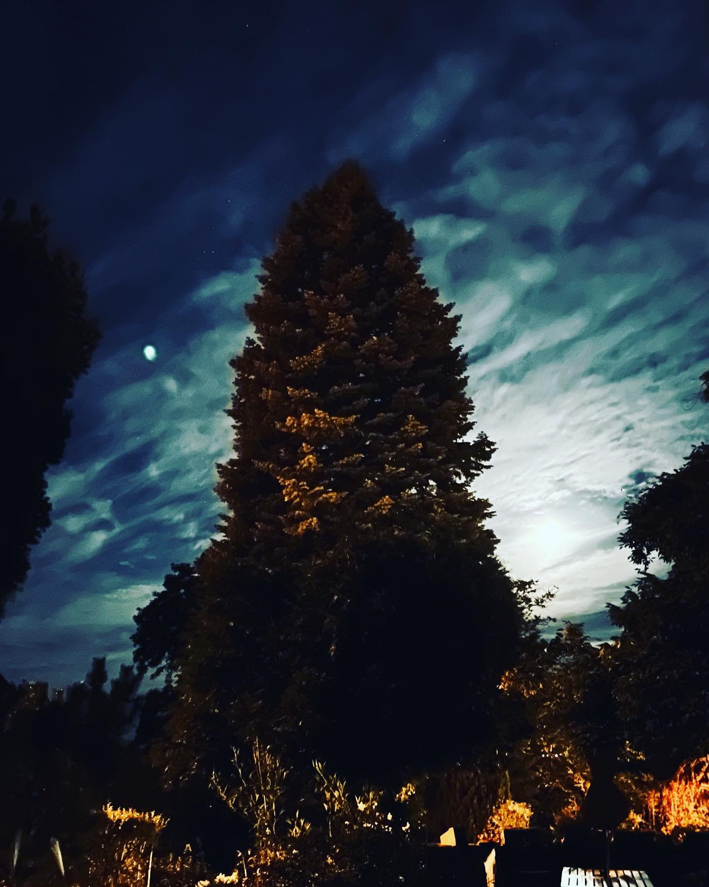 Home 🎇

#home #actor #likeatree #baum #moon #matthiaswagneractor