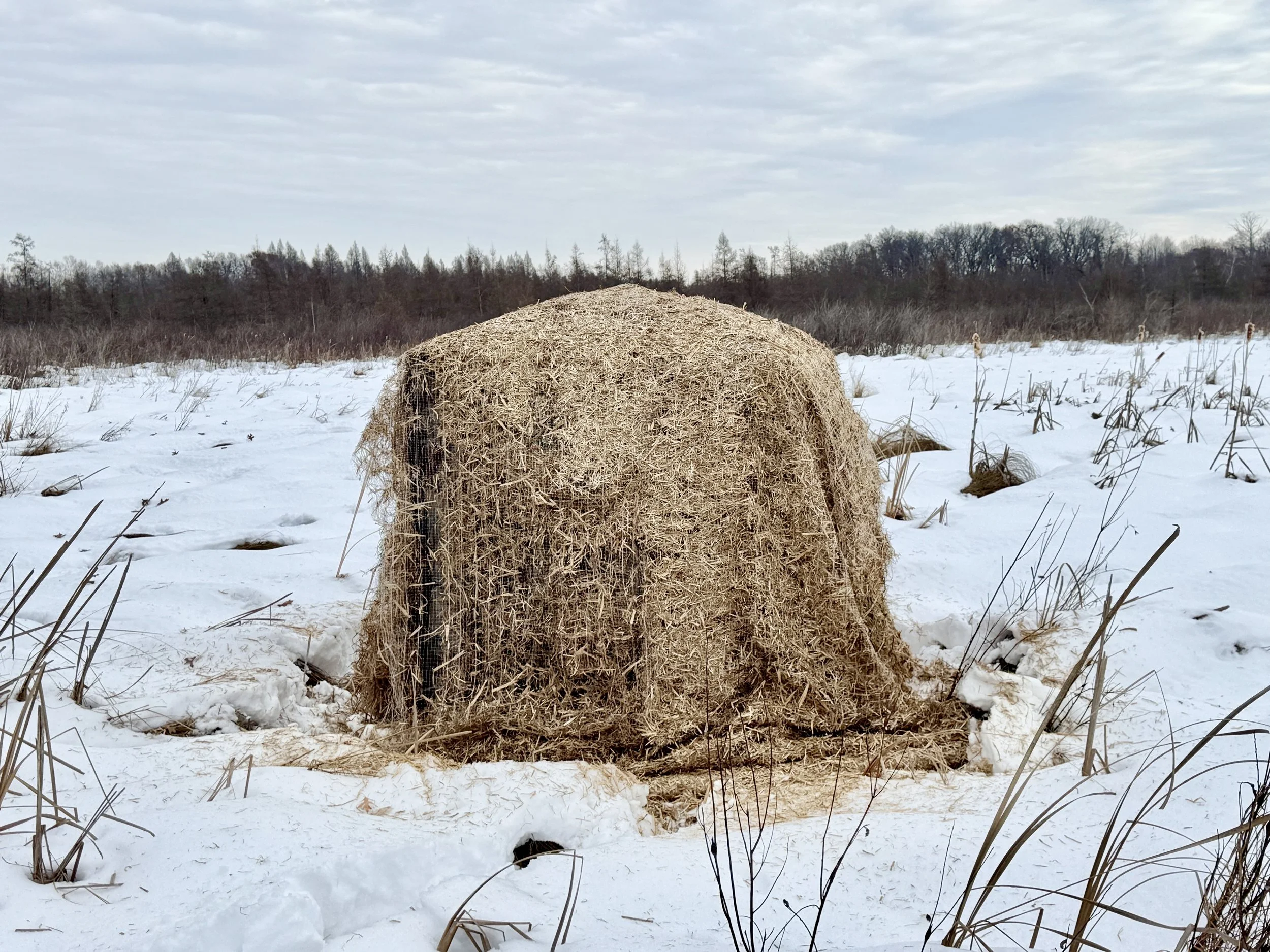 RK makes winter hut at CC