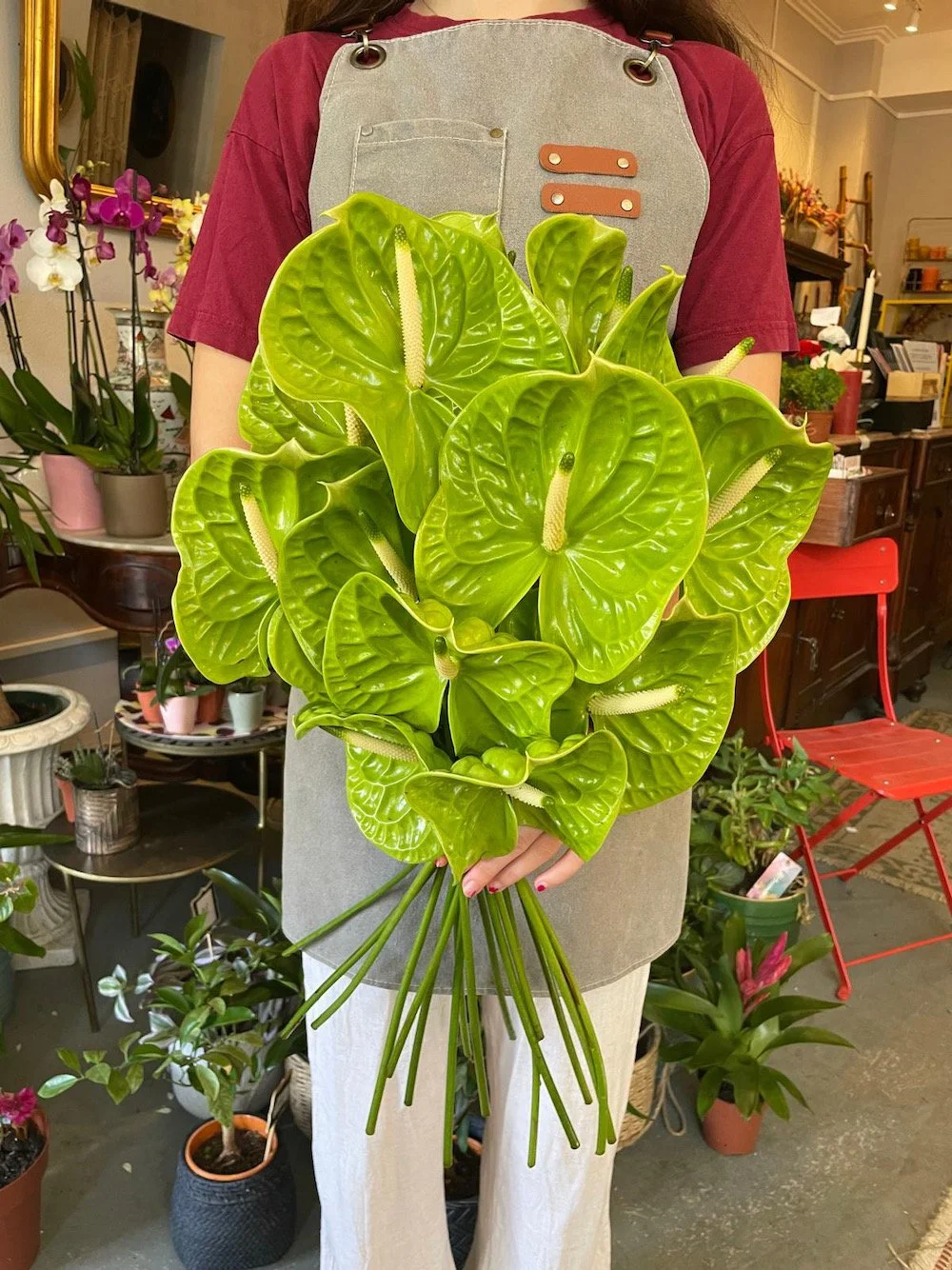 Person holding a large bouquet of green Anthurium plants with shiny leaves and white spadices, inside a flower shop.