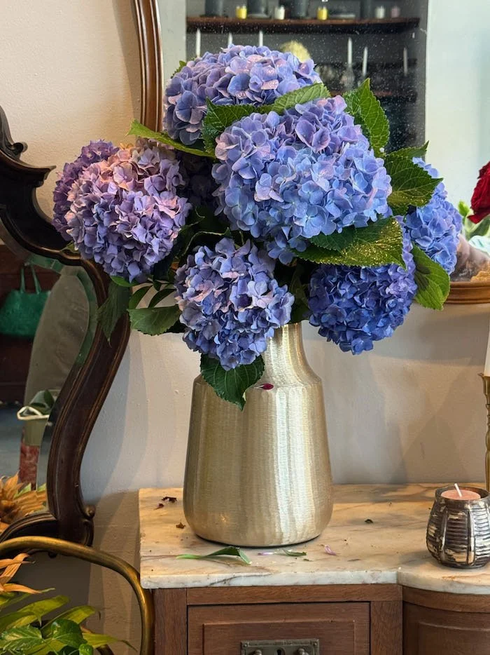 IMG_1570.jpeg (Copy)