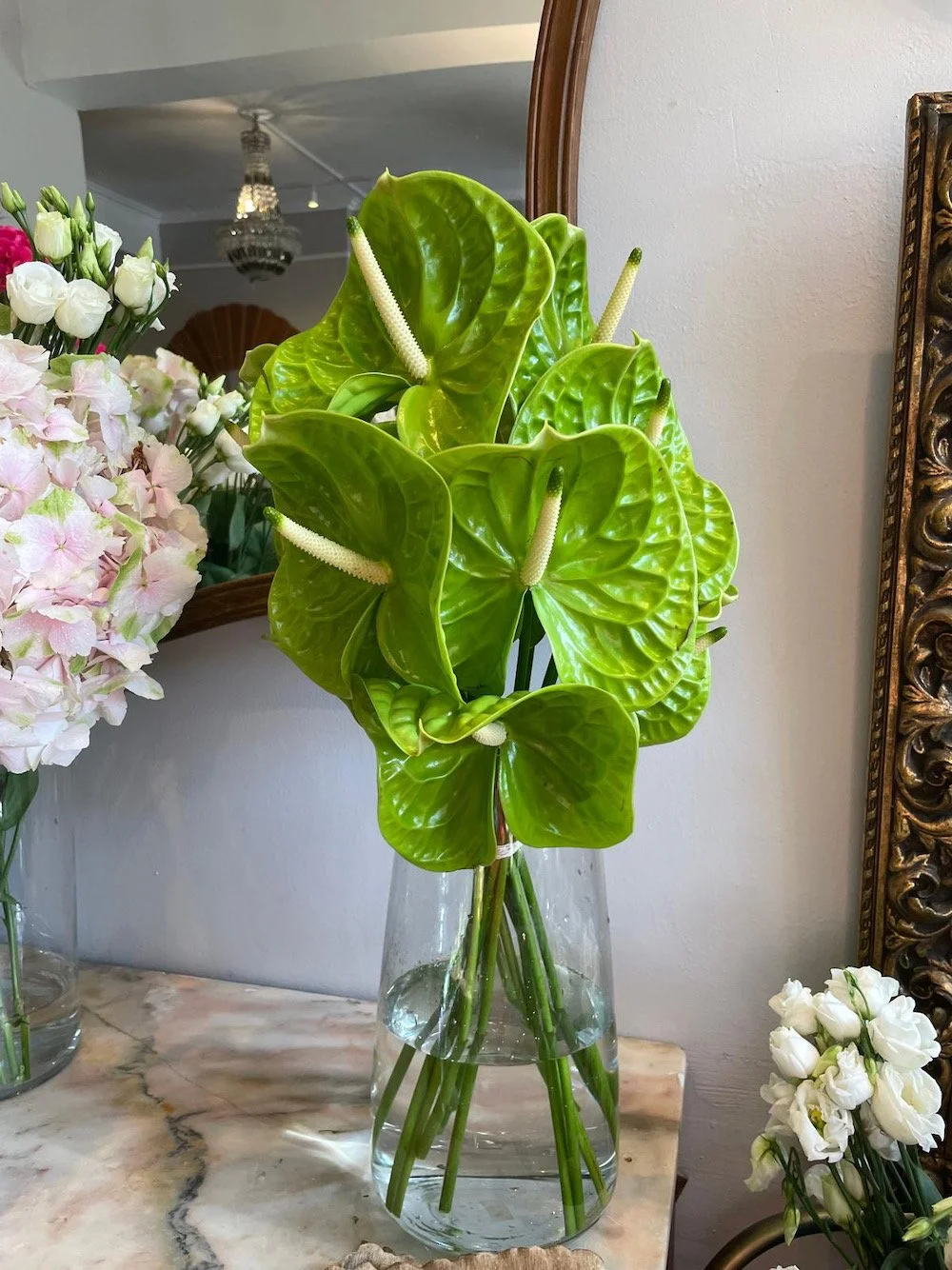 A clear glass vase filled with water holding a bouquet of large, bright green, heart-shaped anthurium leaves with white, elongated spadix flowers. Surrounding flowers include pink hydrangeas and white roses.