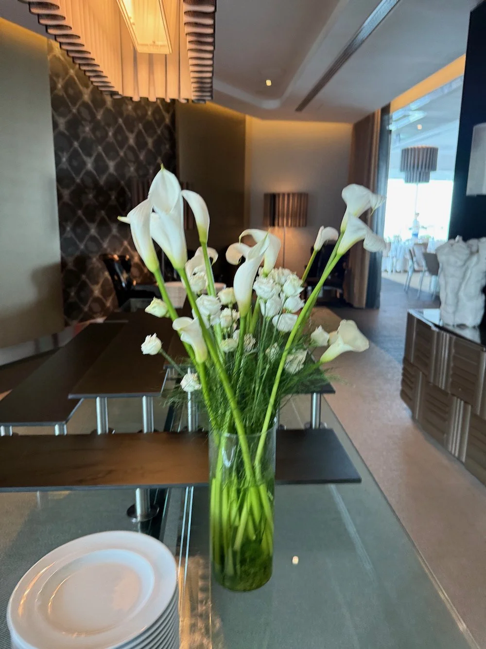 IMG_5478.jpeg