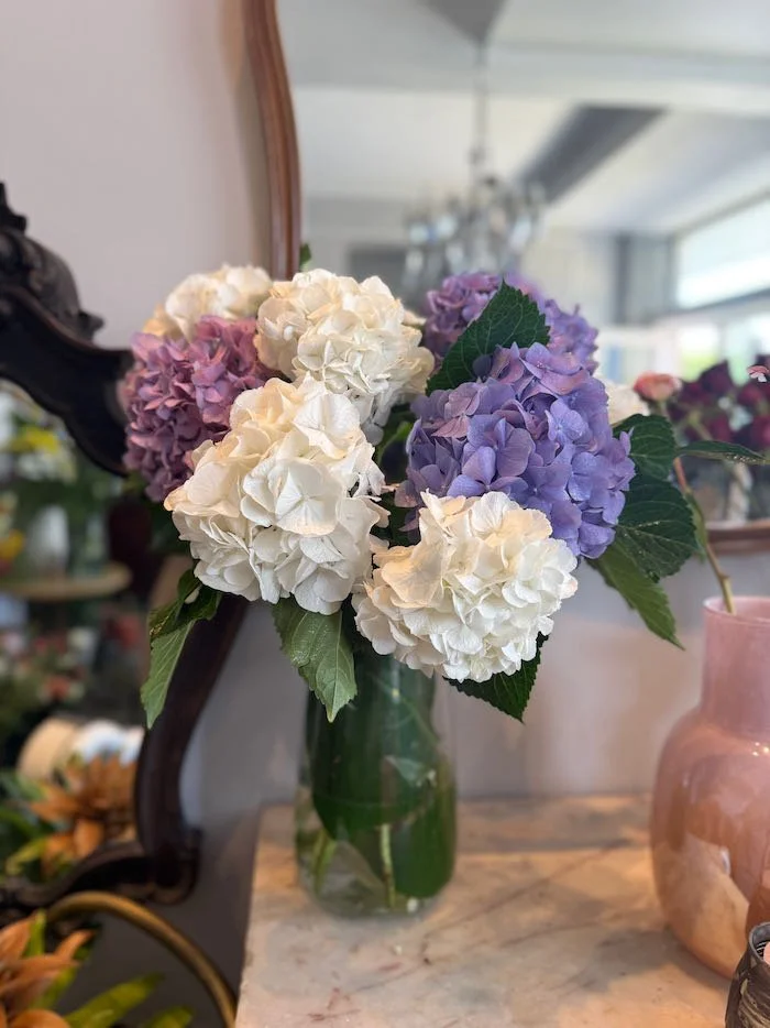 IMG_1475.jpeg (Copy)