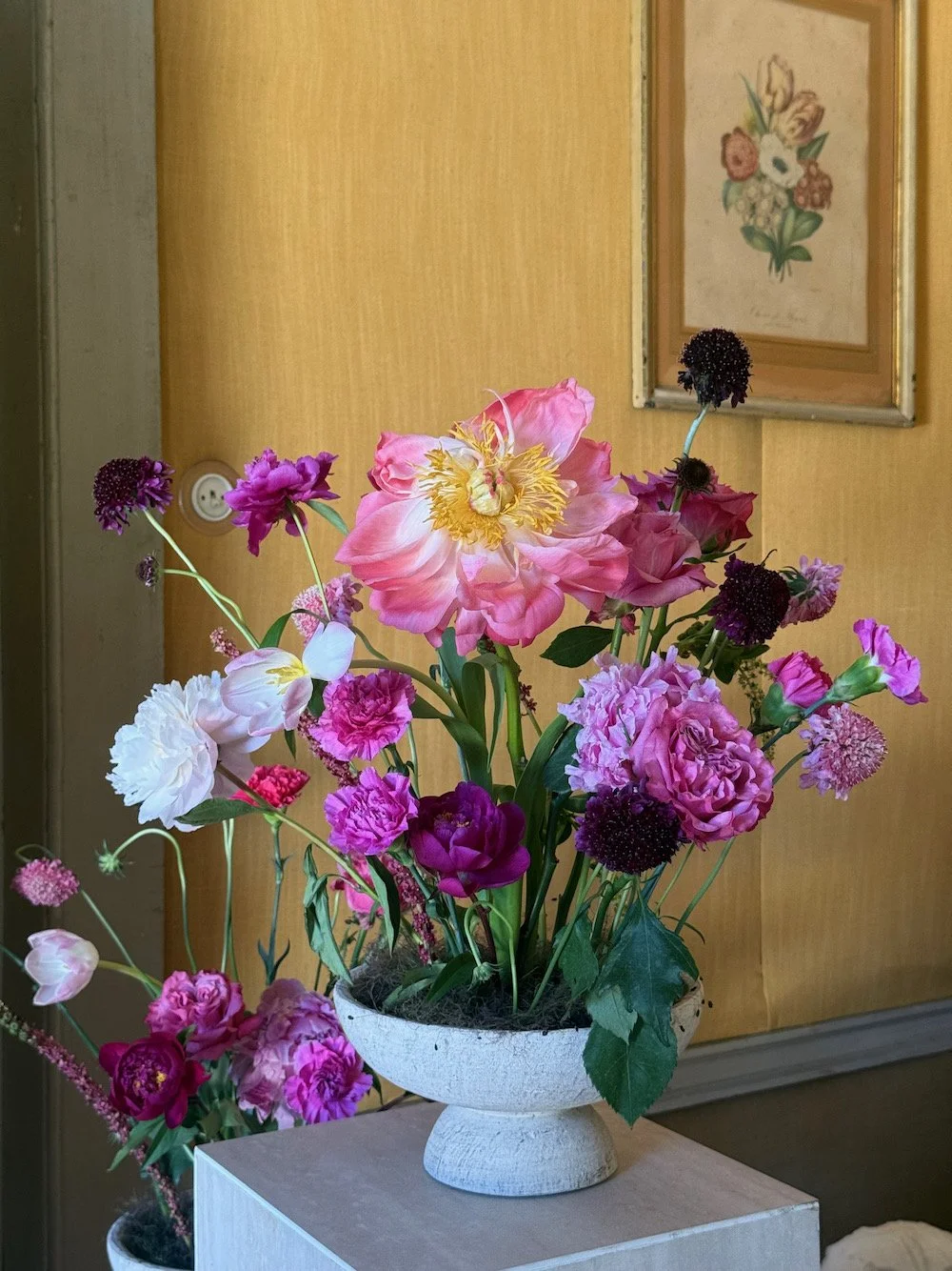 IMG_5985.jpeg