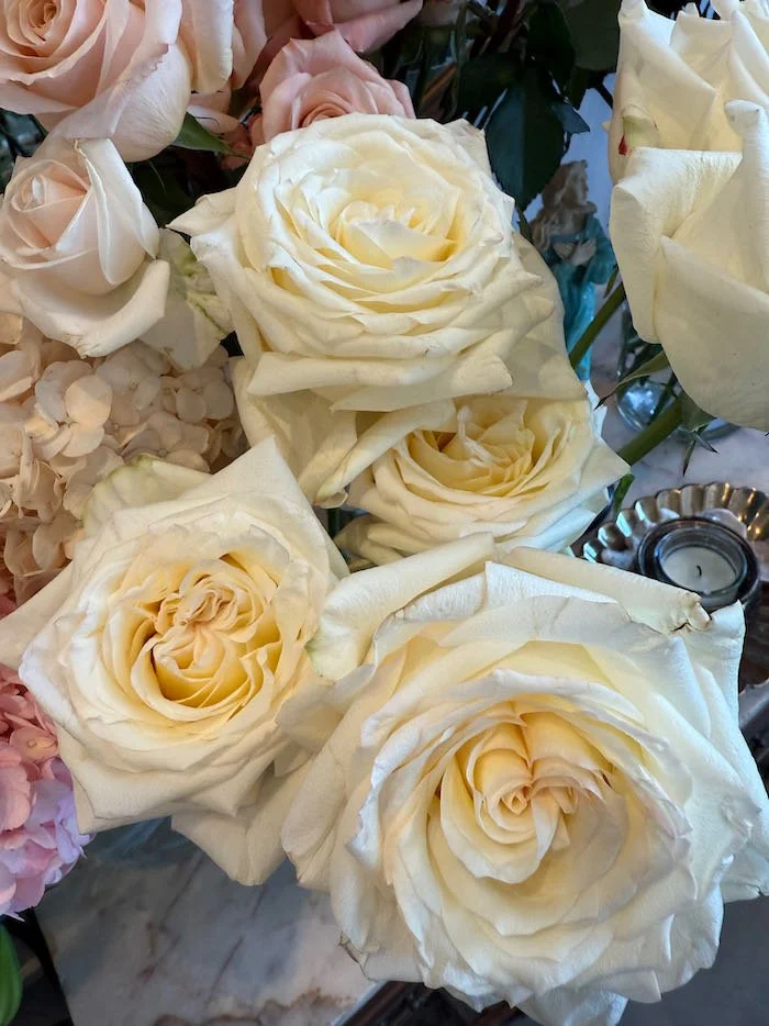 IMG_4159.jpeg (Copy)