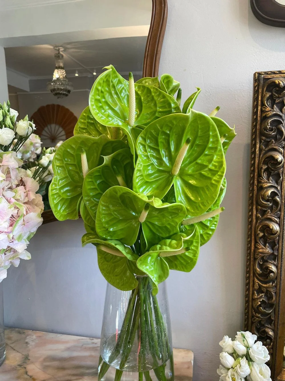A bouquet of bright green anthurium flowers with glossy, heart-shaped leaves and white spadices, displayed in a clear glass vase.