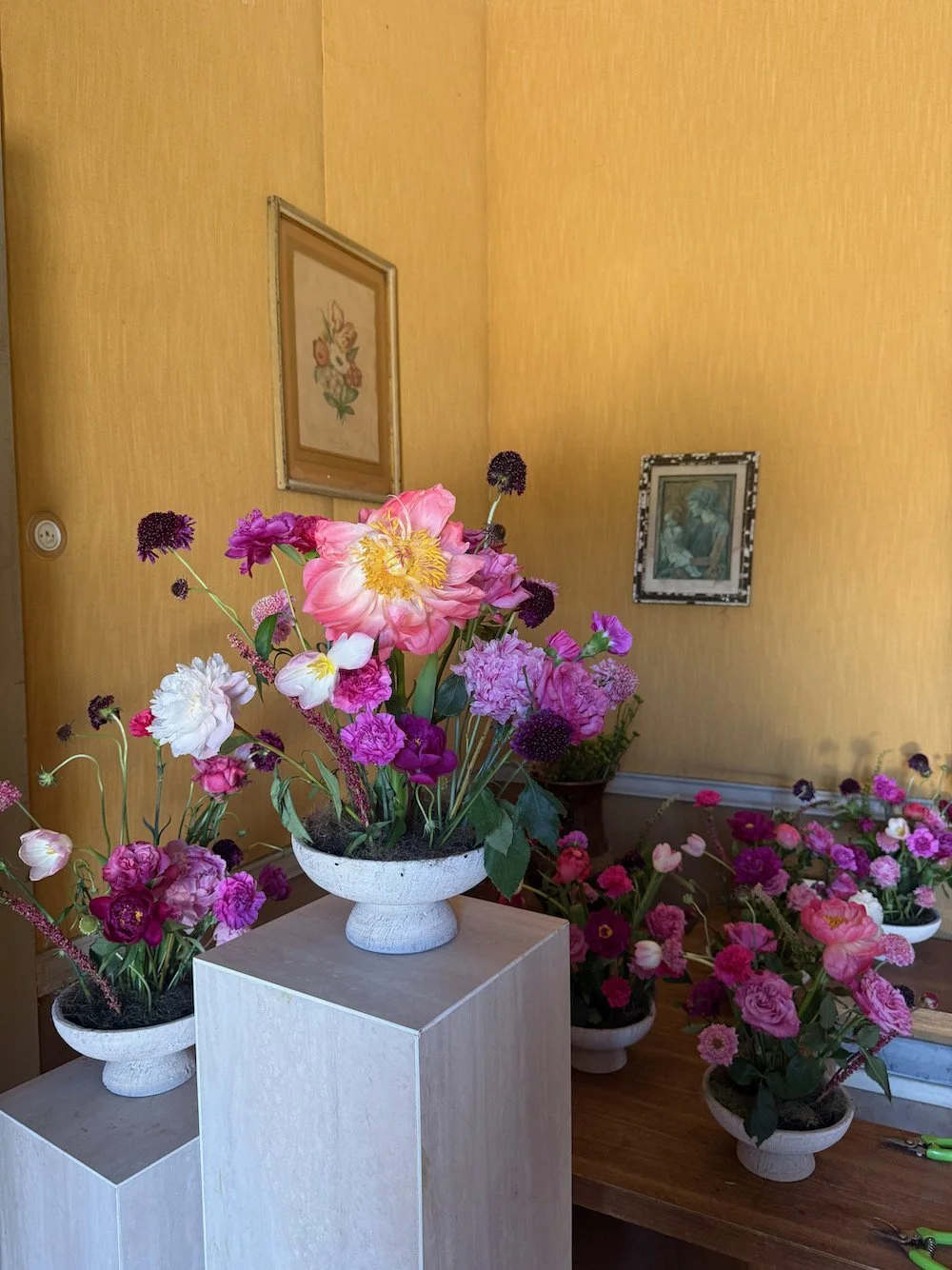 IMG_5993.jpeg
