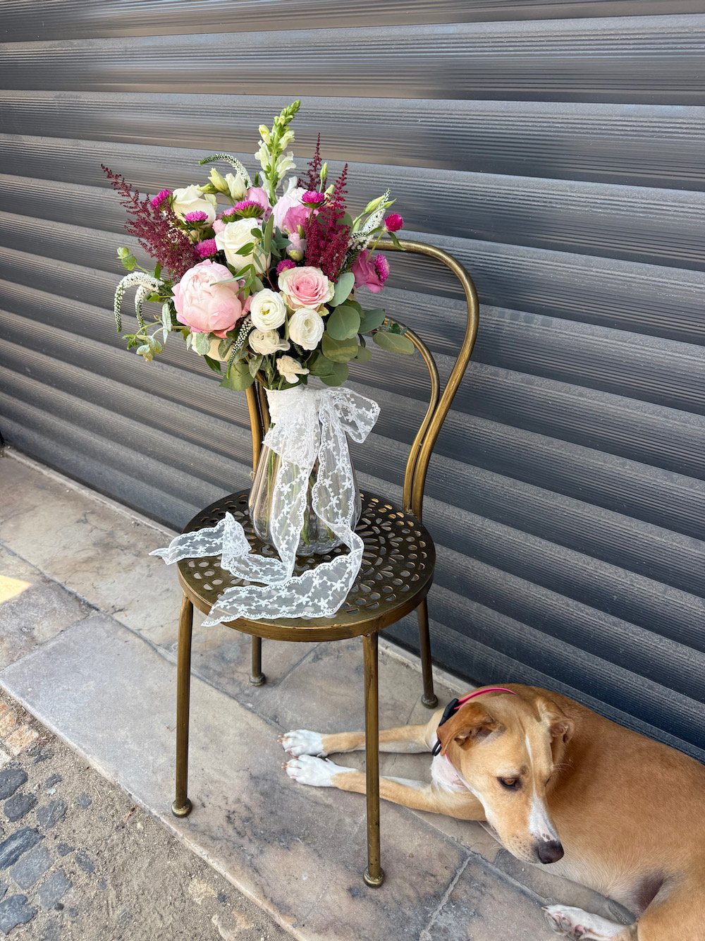 A bouquet of pink and white flowers in a glass jar with a white lace ribbon on a vintage gold chair, with a tan dog lying on the sidewalk beside it.