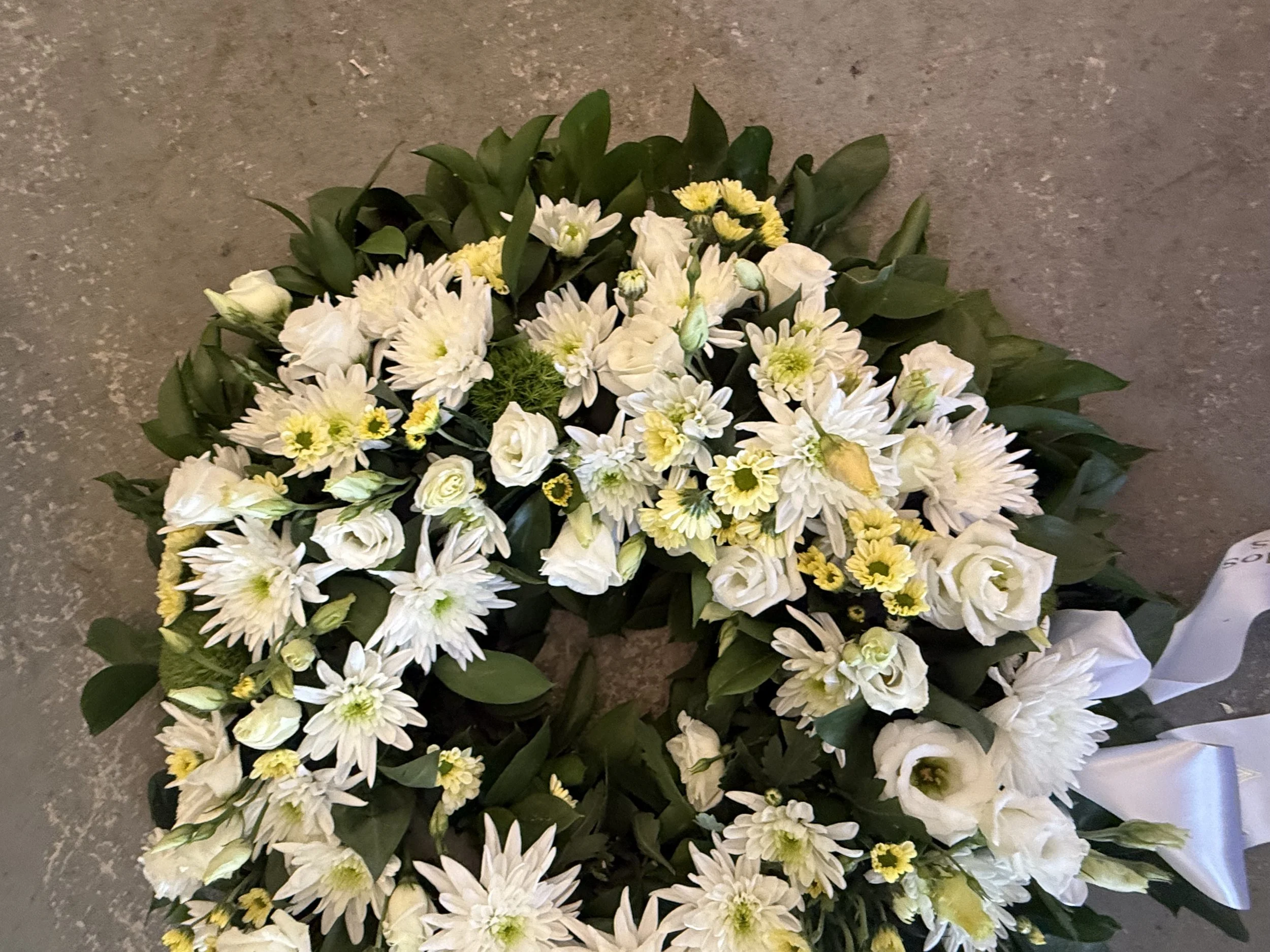 IMG_7270.jpeg