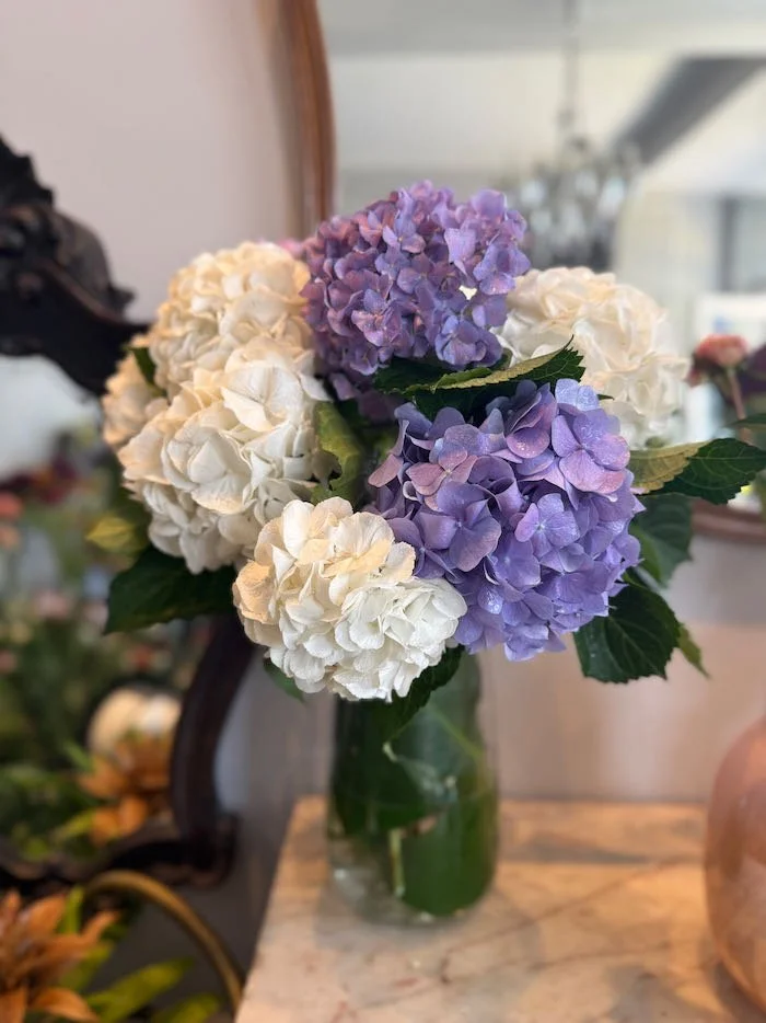 IMG_1472.jpeg (Copy)