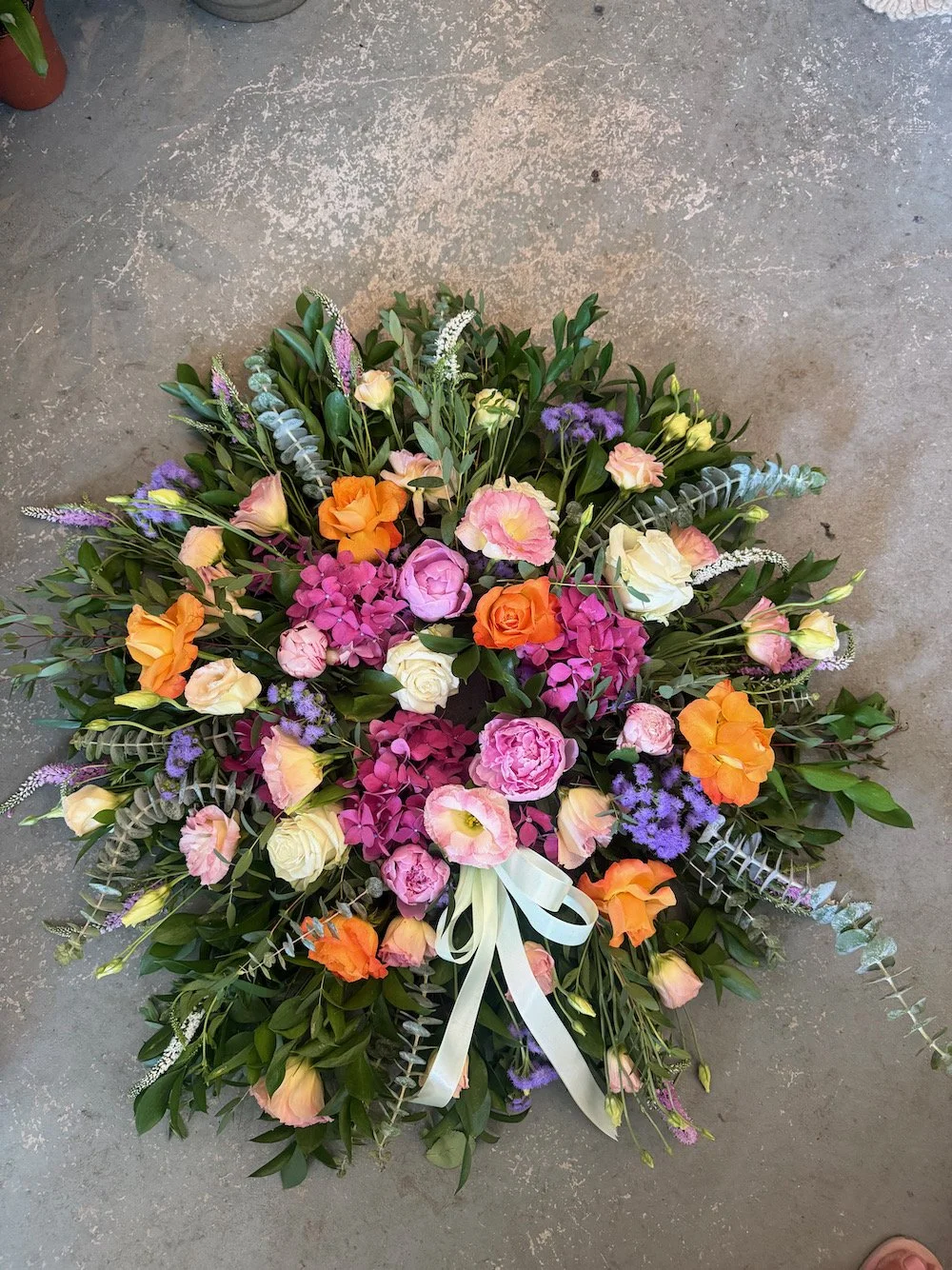 Medium Coroa ( bright)