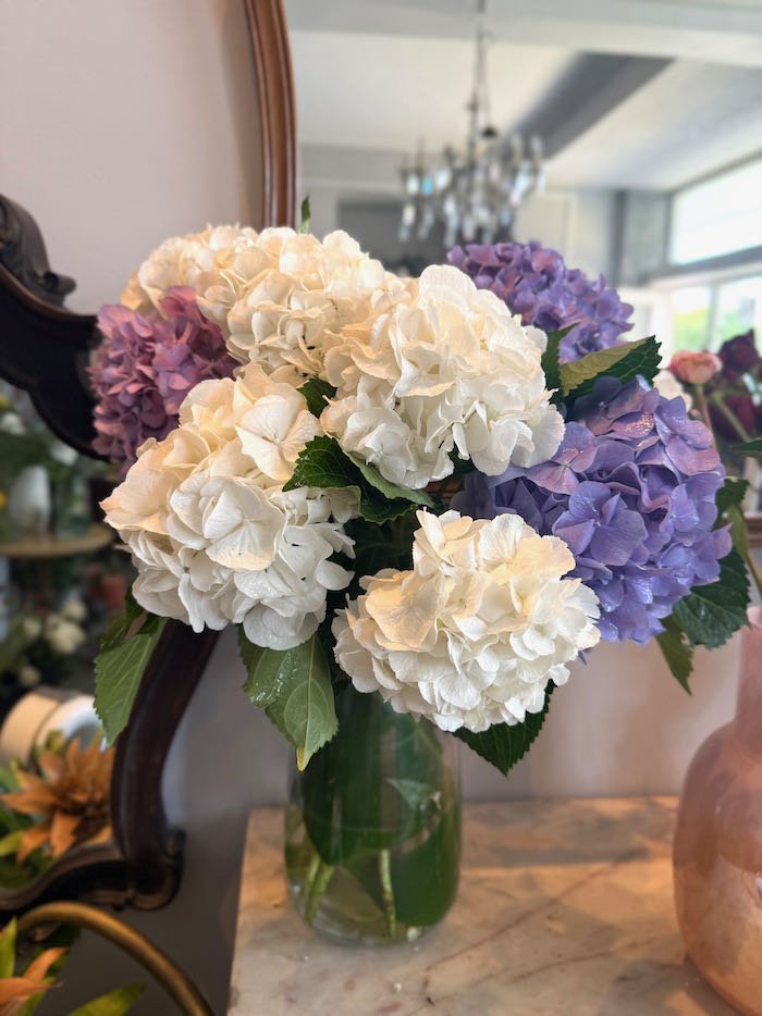 IMG_1477.jpeg (Copy)